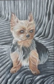 Yorkshire terrier, acrylic, painted by Ioana's daughter